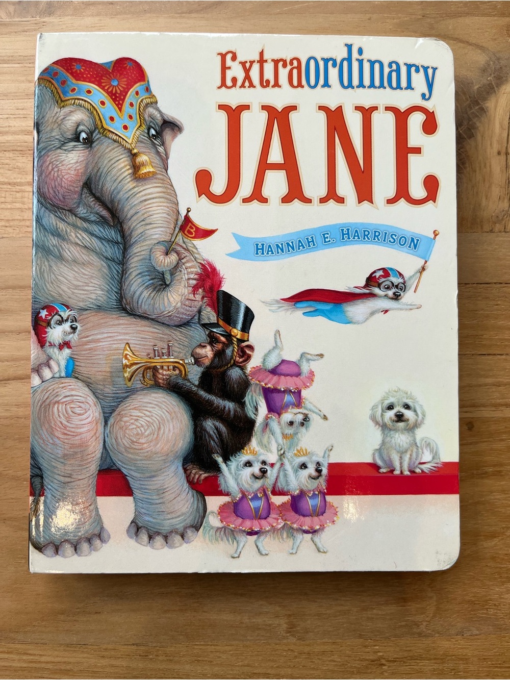 Extraordinary Jane Board Book
